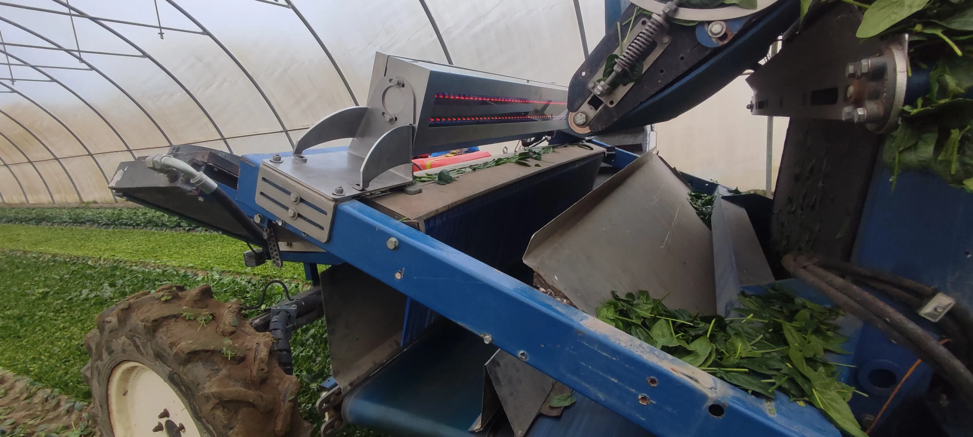 AgriPro mobile leafy greens sorter mounted on a harvester in a greenhouse
