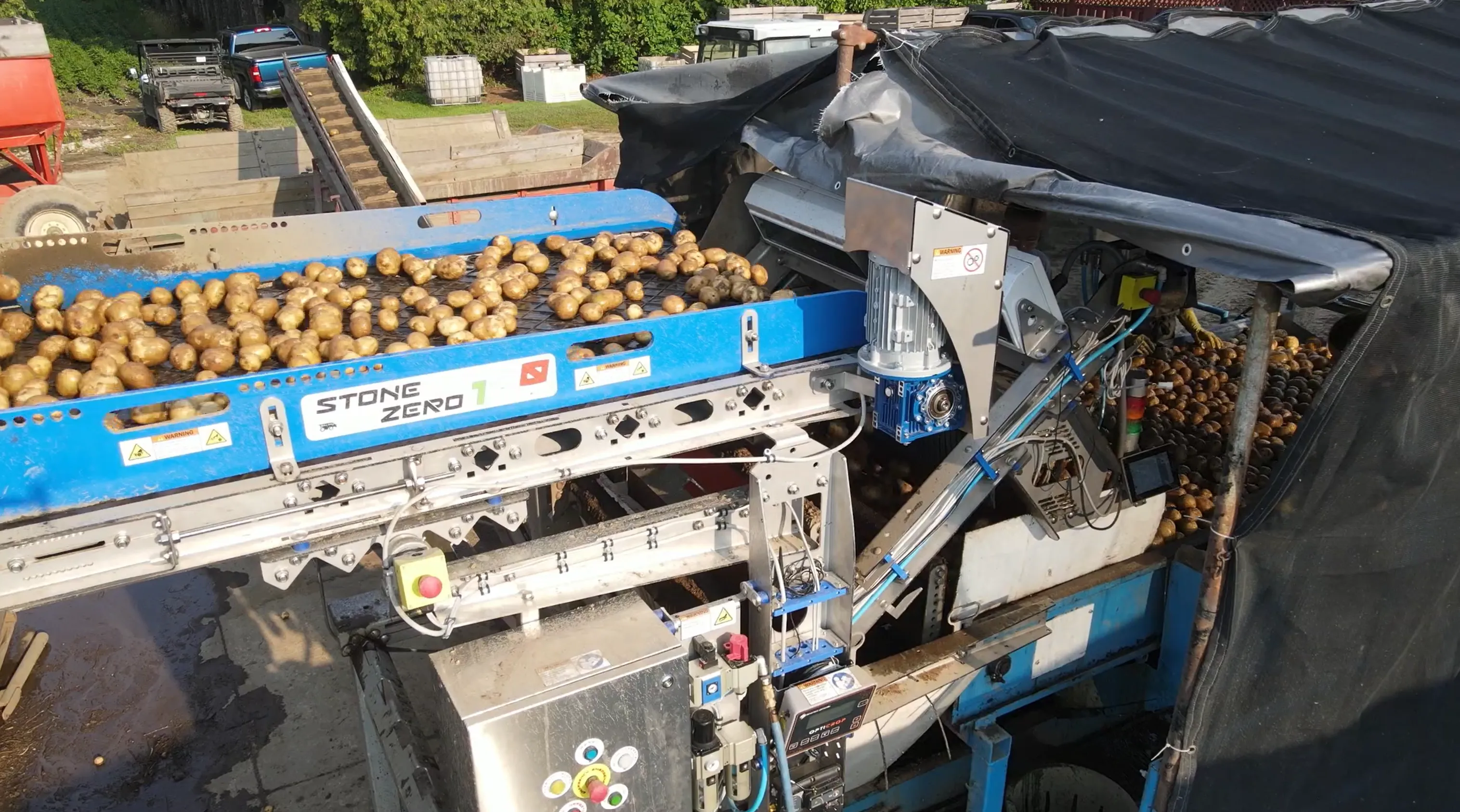 Potatoes running through an AgriPro optical sorter on a processing line